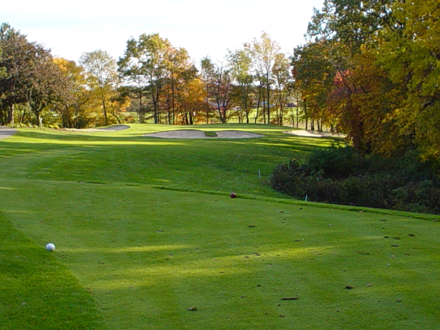 Member Day Crestwood